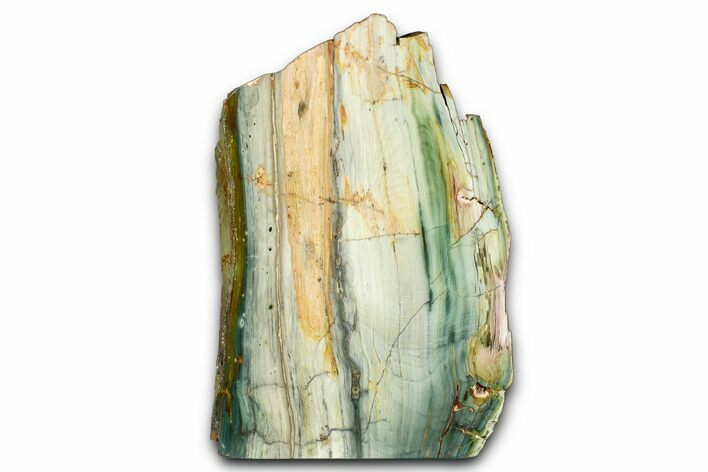 Freestanding Gary Green Jasper (Larsonite) Bog Wood - Oregon #377820
